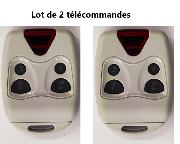 Lot _de_2_telecommandes_EMY-N4_taille moyenne